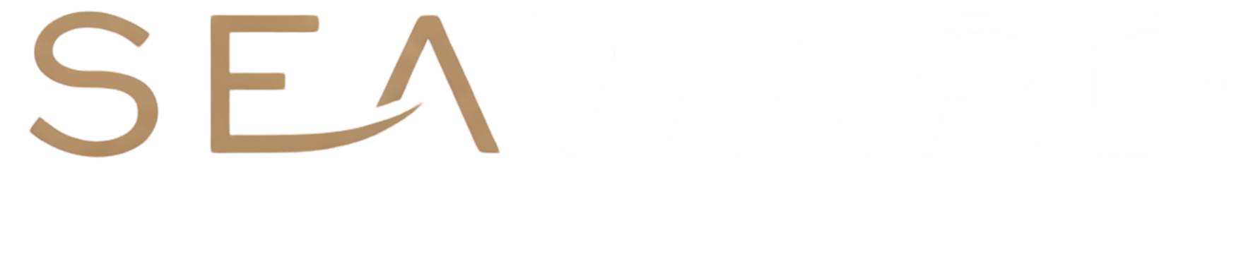 versión buena